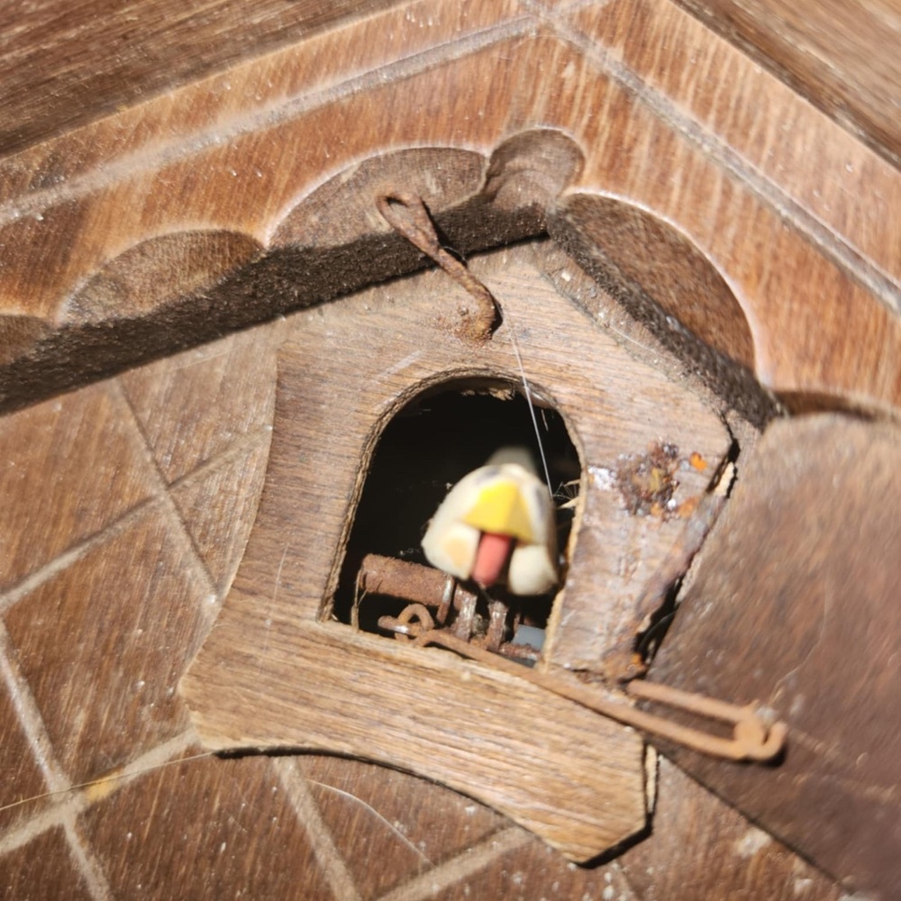 Cuckoo Clock Germany, * none working* - Picture 5 of 9